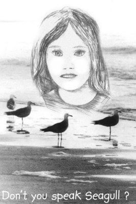  The story behind this image is.  ...My friend was walking on the beach in Santo Tomas Mexico with this little Mexican girl. She was asking him about his travels around the world. The seagulls were all over the place making a lot of noise. She wanted to know if he could speak the differant languages of the countries he had visited. He told her that he could speak some of them. And she wanted to know if he could speak Seagull? ...A true Story.