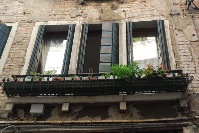 Finestre