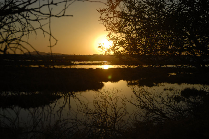 Ilha de Tavira 4