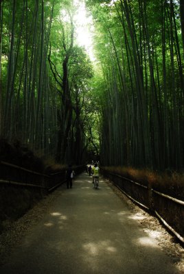 Bambu garden