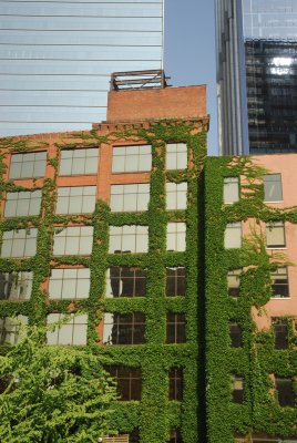 Green building