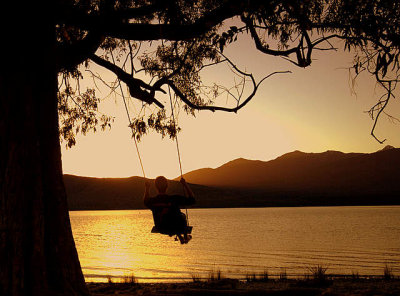 Swinging over Lake Te Anau