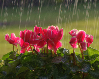 April showers