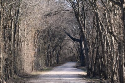 Walker Creek Road, Ellis County