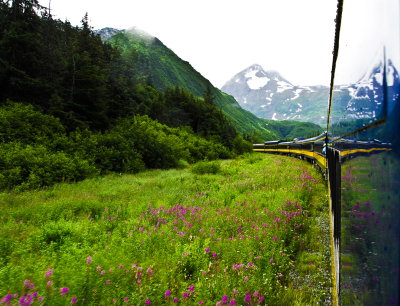 Alaskan RR Relection