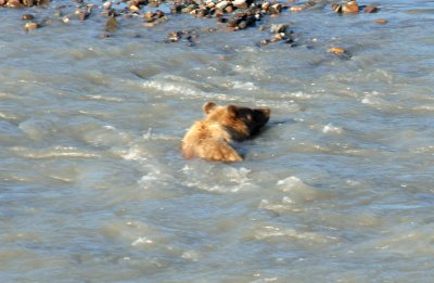 Crossing river