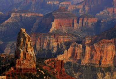Fall In The North Rim of Grand Canyon