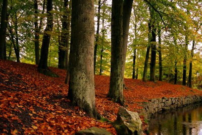 Autumn
