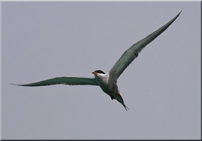 g1/45/100045/3/129041235.O7JCd0HM.jpg