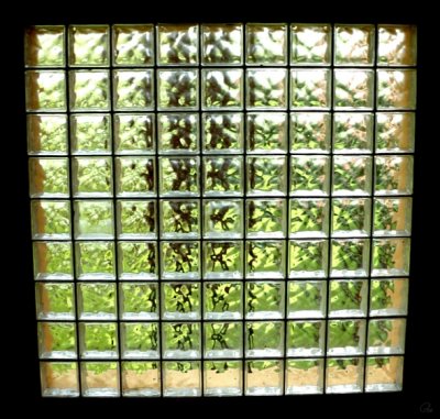 Window
