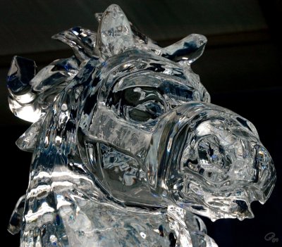 Winterlude 2009