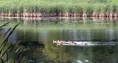 Crossing The Pond