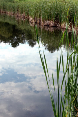 Reflected Clouds