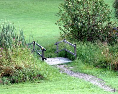 The Path To The Bridge