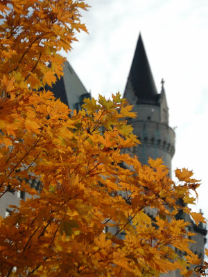 Orange With Turret