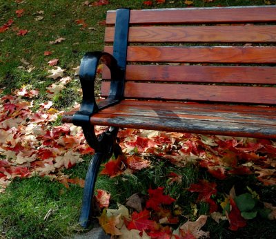 Park Bench
