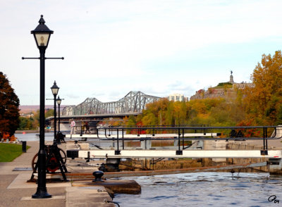 Fall In Downtown Ottawa