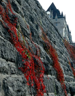 Castle Wall
