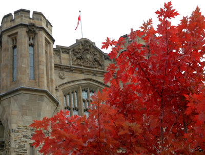 Red With Tower