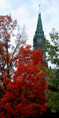 Red With Peace Tower