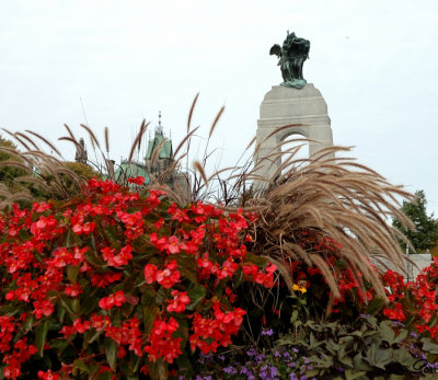 Fall In Downtown Ottawa