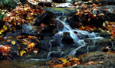 Fast Flowing In The Fall