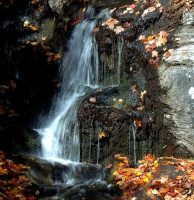 Cascading Creek Detail