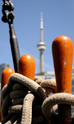Posts With CN Tower