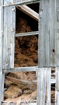 Old Hay