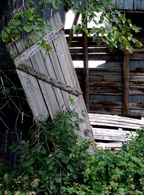 Hanging Door