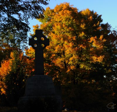 Celtic Cross