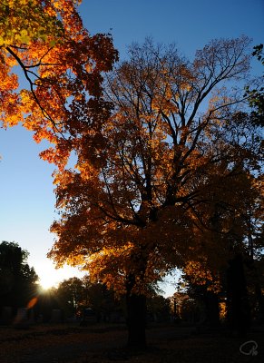 Setting Sun