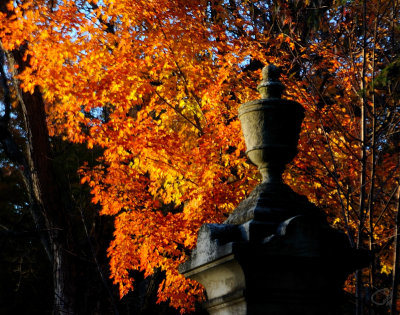 Urn