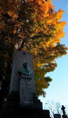 Bust