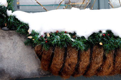 Window Box