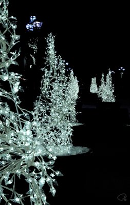 Sparkly Trees