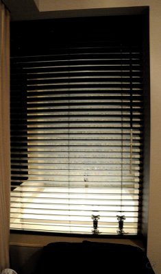 Window From The Bedroom To The Tub