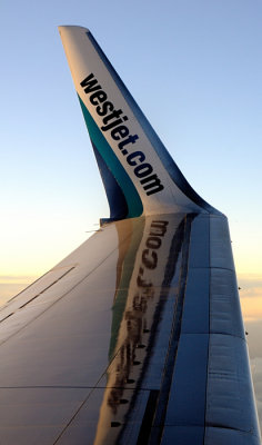 Advertising On The Wing