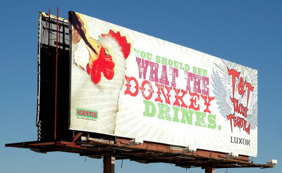 Never Saw What The Donkey Drinks