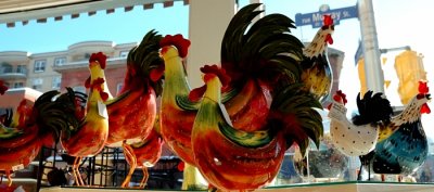 Cock Parade On Murray Street