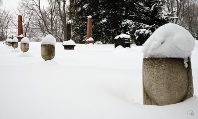 Snow-Capped