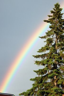 All The Colours Of The Rainbow