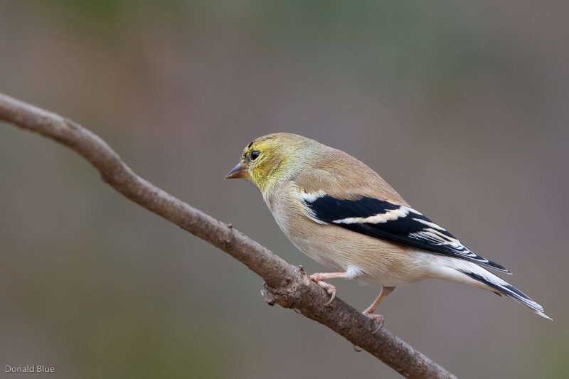 7B7D3980.jpg