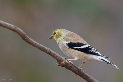 7B7D3980.jpg