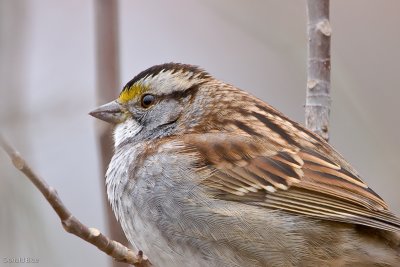 IMG_3104.jpg