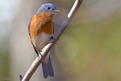 IMG_3148.jpg