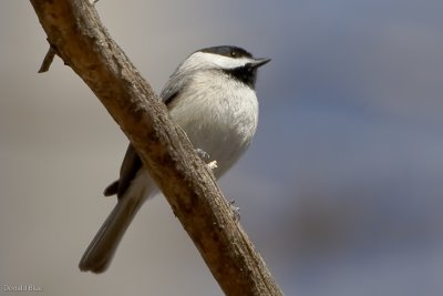 7B7D0447.jpg