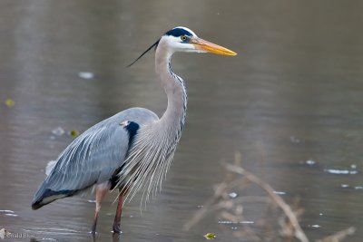 7B7D0943.jpg