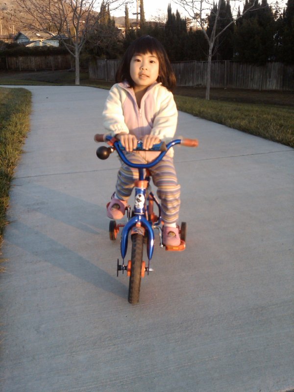 IMG00027-20090111-1657.jpg