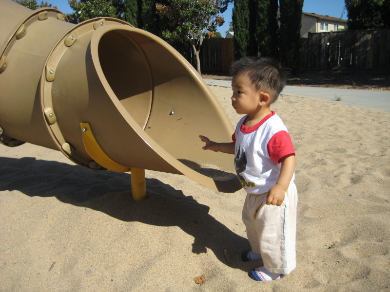 IMG_7917.JPG